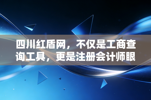 四川红盾网,不仅是工商查询工具,更是注册会计师眼中的企业体检报告