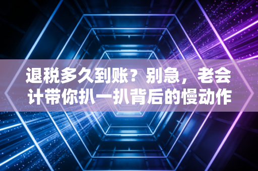 退税多久到账？别急，老会计带你扒一扒背后的慢动作与加急包