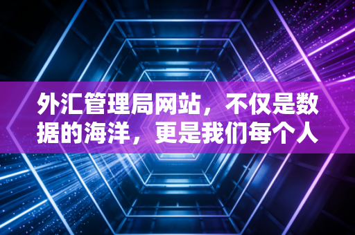 外汇管理局网站，不仅是数据的海洋，更是我们每个人钱袋子的守门人