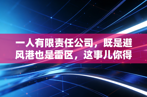 一人有限责任公司，既是避风港也是雷区，这事儿你得这么看