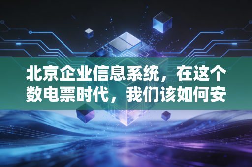 北京企业信息系统，在这个数电票时代，我们该如何安放企业的数据命脉？