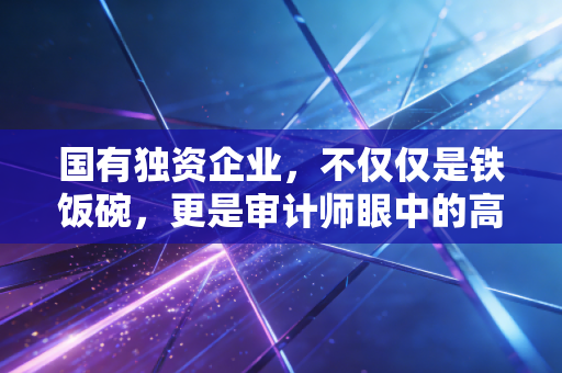 国有独资企业,不仅仅是铁饭碗,更是审计师眼中的高压锅与改革深水区