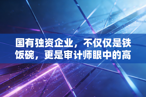 国有独资企业，不仅仅是铁饭碗，更是审计师眼中的高压锅与改革深水区