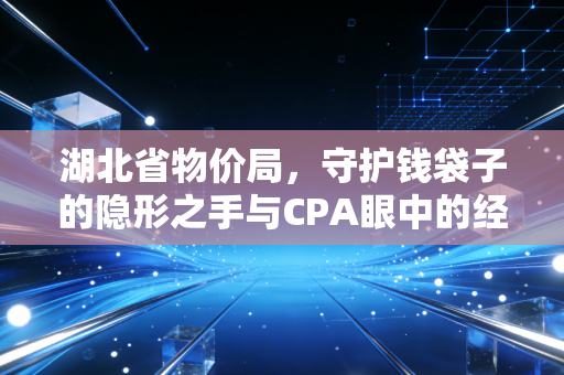 湖北省物价局,守护钱袋子的隐形之手与CPA眼中的经济账