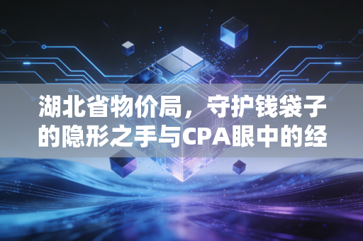 湖北省物价局，守护钱袋子的隐形之手与CPA眼中的经济账