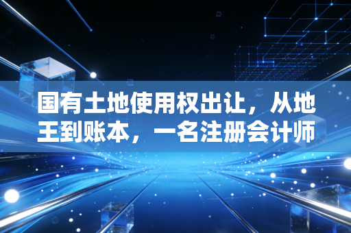 国有土地使用权出让,从地王到账本,一名注册会计师眼中的土地博弈与财富密码