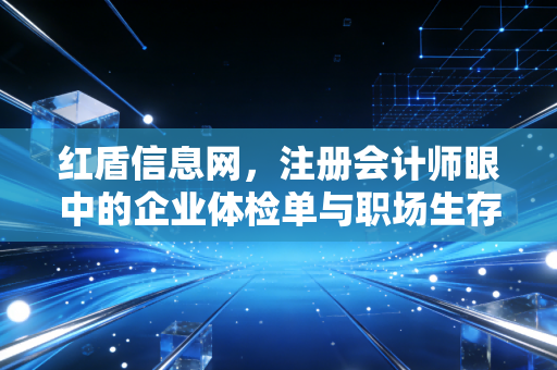 红盾信息网,注册会计师眼中的企业体检单与职场生存指南