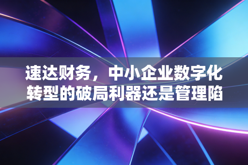 速达财务,中小企业数字化转型的破局利器还是管理陷阱?