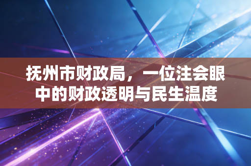 抚州市财政局,一位注会眼中的财政透明与民生温度