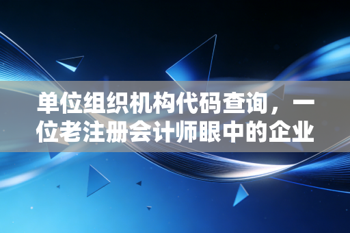 单位组织机构代码查询，一位老注册会计师眼中的企业数字身份证与风控必修课