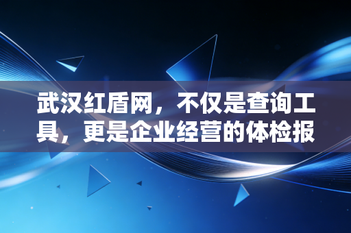 武汉红盾网,不仅是查询工具,更是企业经营的体检报告——一位注册会计师的深度解读