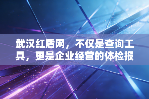 武汉红盾网，不仅是查询工具，更是企业经营的体检报告——一位注册会计师的深度解读