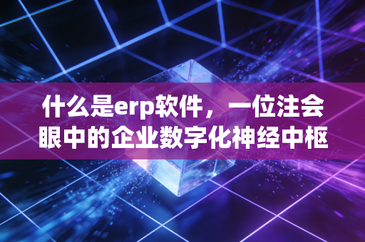 什么是erp软件,一位注会眼中的企业数字化神经中枢