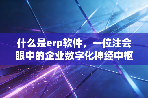 什么是erp软件,一位注会眼中的企业数字化神经中枢
