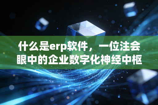 什么是erp软件，一位注会眼中的企业数字化神经中枢