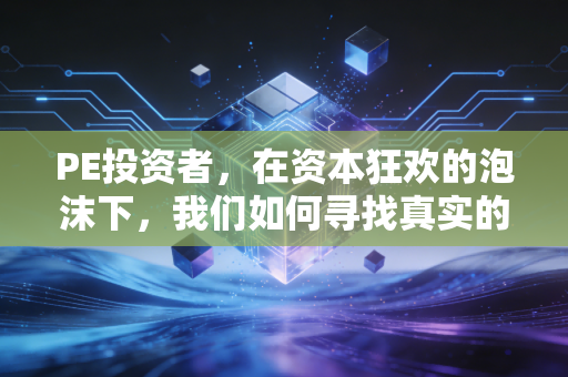 PE投资者，在资本狂欢的泡沫下，我们如何寻找真实的金矿