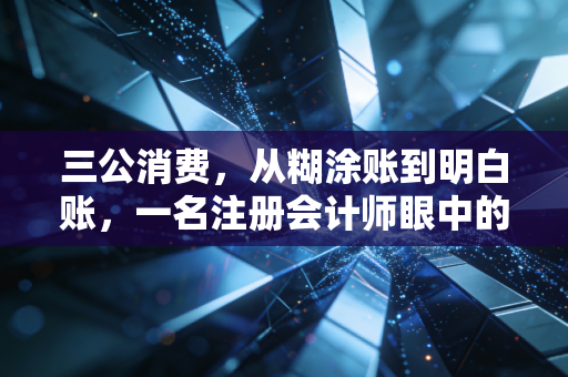 三公消费,从糊涂账到明白账,一名注册会计师眼中的财政透明化之路