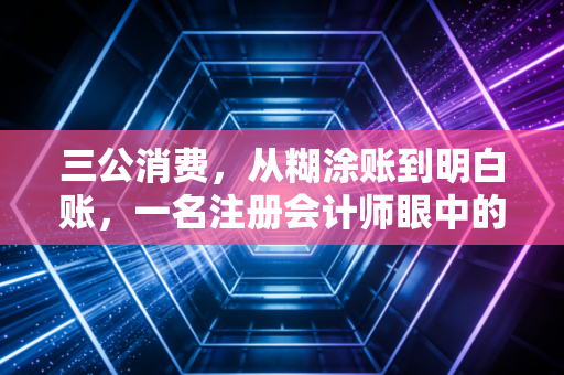 三公消费，从糊涂账到明白账，一名注册会计师眼中的财政透明化之路