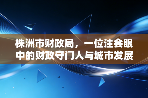 株洲市财政局,一位注会眼中的财政守门人与城市发展的隐形推手