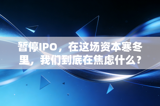 暂停IPO，在这场资本寒冬里，我们到底在焦虑什么？