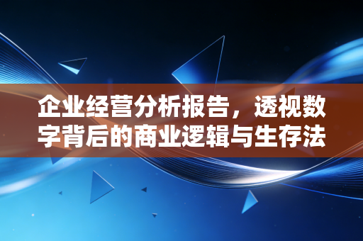 企业经营分析报告，透视数字背后的商业逻辑与生存法则