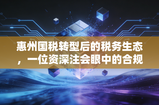 惠州国税转型后的税务生态，一位资深注会眼中的合规红利与经营智慧
