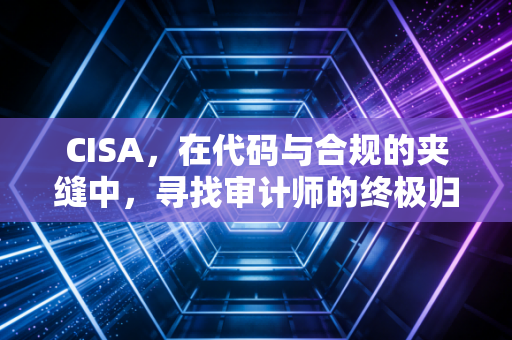 CISA,在代码与合规的夹缝中,寻找审计师的终极归宿
