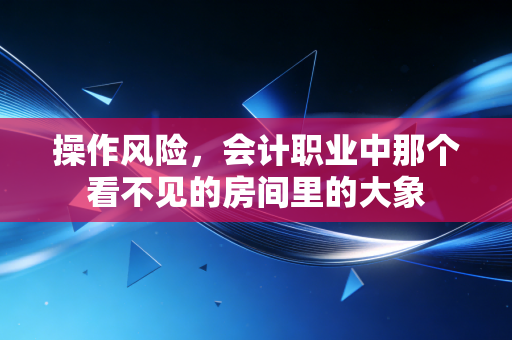 操作风险,会计职业中那个看不见的房间里的大象