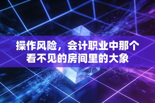 操作风险，会计职业中那个看不见的房间里的大象