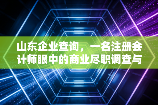 山东企业查询，一名注册会计师眼中的商业尽职调查与避坑实录