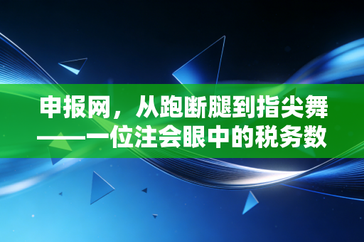 申报网，从跑断腿到指尖舞——一位注会眼中的税务数字化变迁与冷思考