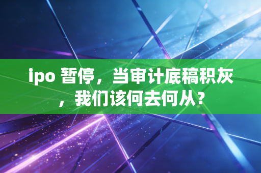 ipo 暂停，当审计底稿积灰，我们该何去何从？