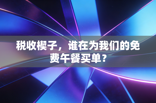 税收楔子，谁在为我们的免费午餐买单？