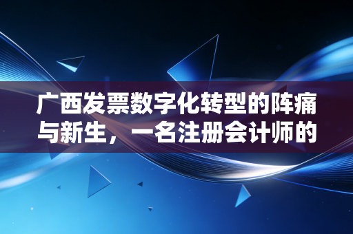 广西发票数字化转型的阵痛与新生,一名注册会计师的深度观察