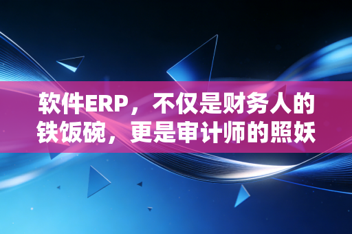 软件ERP，不仅是财务人的铁饭碗，更是审计师的照妖镜——深度解析企业数字化转型的得与失