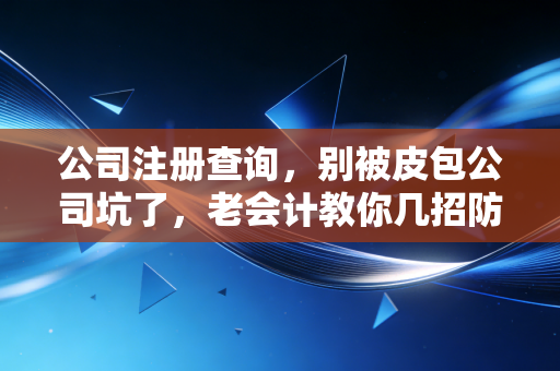 公司注册查询,别被皮包公司坑了,老会计教你几招防身术