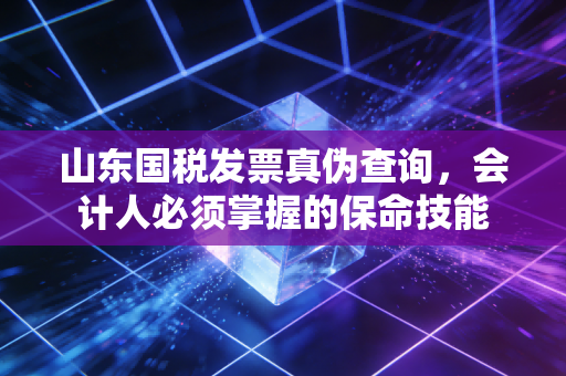 山东国税发票真伪查询，会计人必须掌握的保命技能