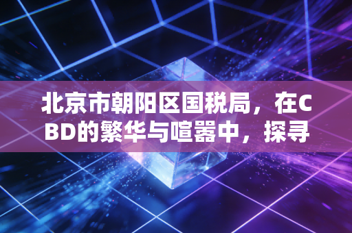 北京市朝阳区国税局,在CBD的繁华与喧嚣中,探寻税务合规的生存法则