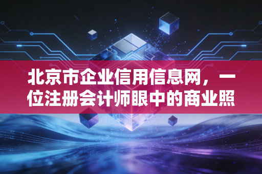 北京市企业信用信息网,一位注册会计师眼中的商业照妖镜与避坑指南