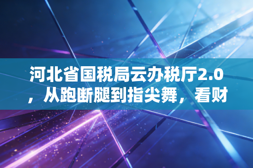河北省国税局云办税厅2.0,从跑断腿到指尖舞,看财税服务如何重塑我们的职业生态