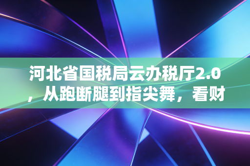 河北省国税局云办税厅2.0，从跑断腿到指尖舞，看财税服务如何重塑我们的职业生态