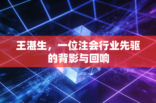 王湛生，一位注会行业先驱的背影与回响