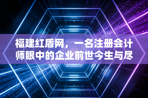 福建红盾网，一名注册会计师眼中的企业前世今生与尽职调查实战录