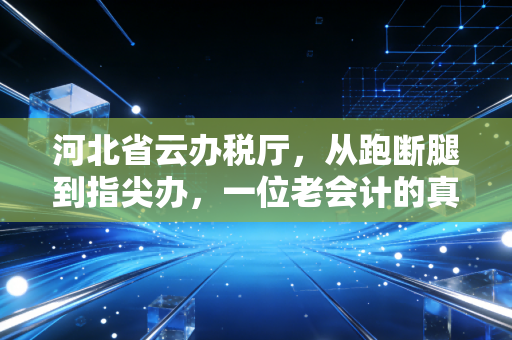 河北省云办税厅，从跑断腿到指尖办，一位老会计的真实观察