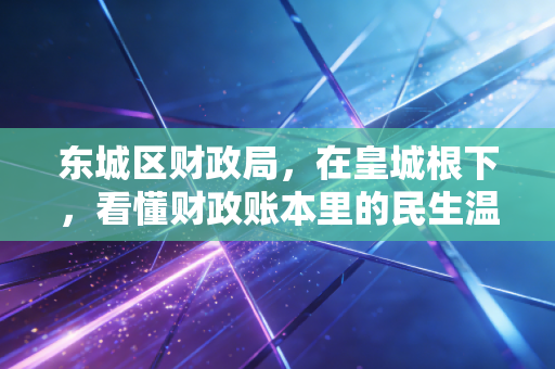 东城区财政局,在皇城根下,看懂财政账本里的民生温度与监管力度