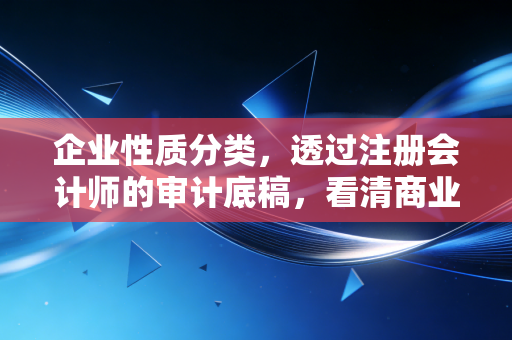企业性质分类,透过注册会计师的审计底稿,看清商业世界的江湖座次
