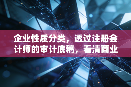 企业性质分类,透过注册会计师的审计底稿,看清商业世界的江湖座次