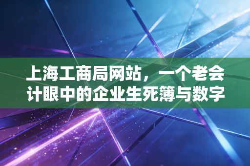 上海工商局网站,一个老会计眼中的企业生死簿与数字化变迁