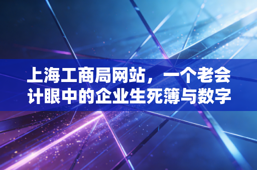 上海工商局网站,一个老会计眼中的企业生死簿与数字化变迁