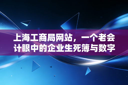上海工商局网站，一个老会计眼中的企业生死簿与数字化变迁